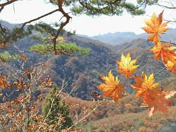 快手业务自助平台 - 抖音24小时平台,腾讯会员开通 - 全网最低价自助下单软件